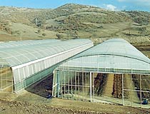 Agroser FRP Greenhouse covering