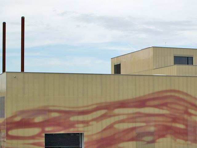 Wyden elementary school textured facade