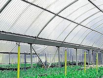 Agroser FRP panels for agriculture