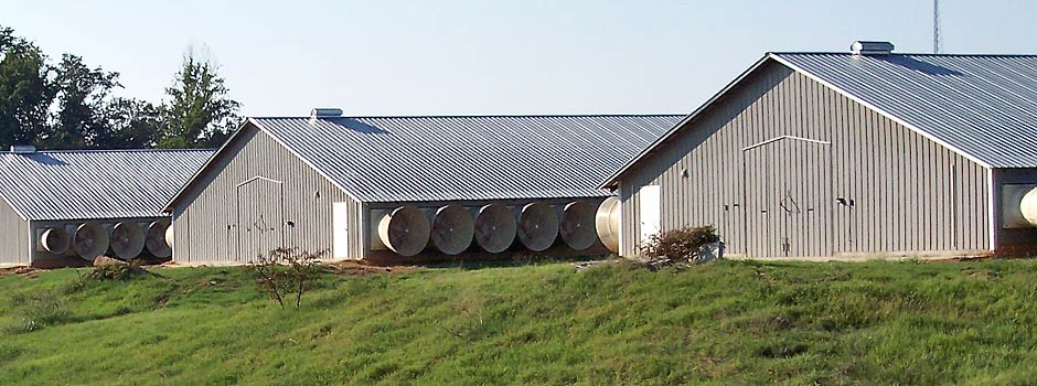 Fibropan Poultry house roofs