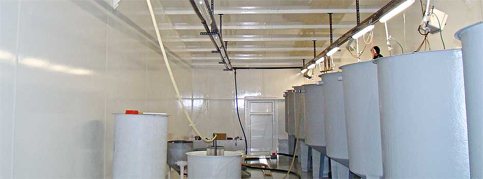 Fibrosan hygiene for larvae production at Akvatek